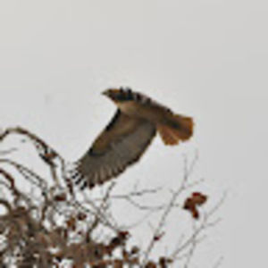 Meet your Posher, Josh